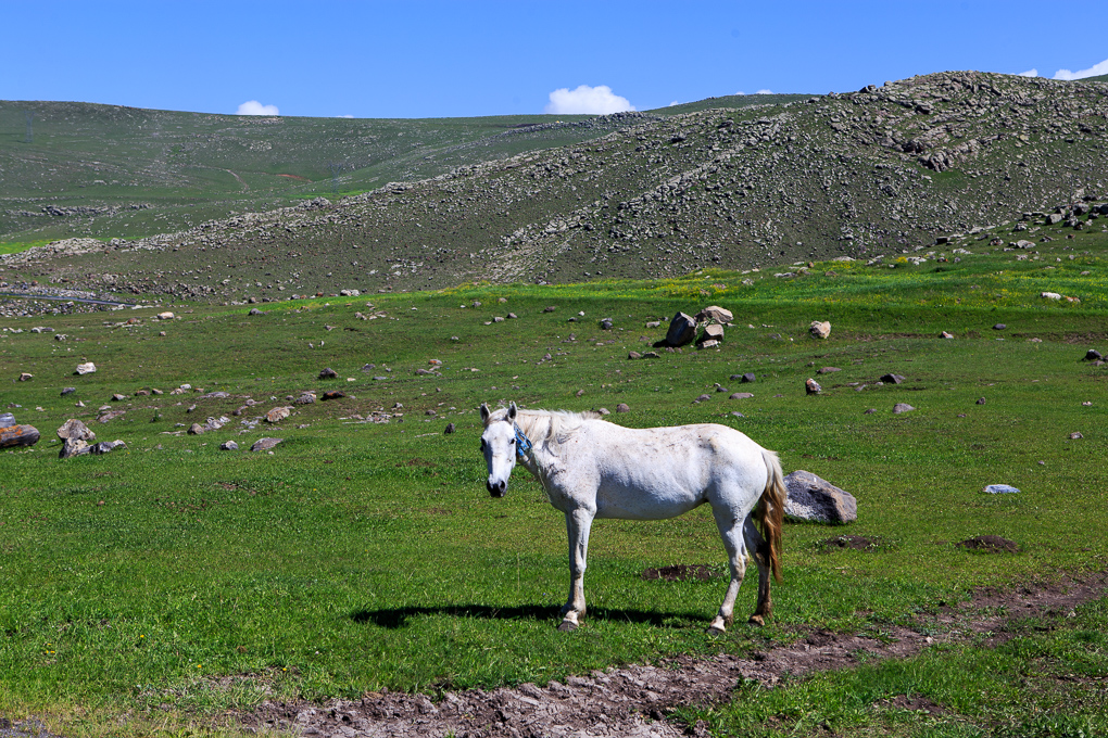 Akçakale